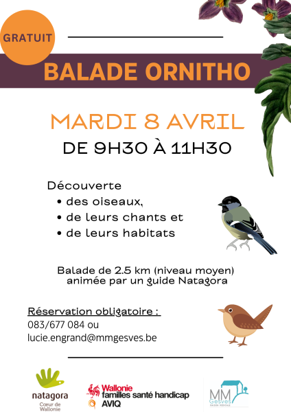 Affiche_PNG_balade_ornitho_2025