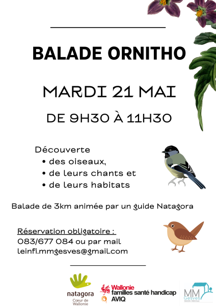 balade_ornitho